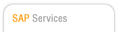 SAP service